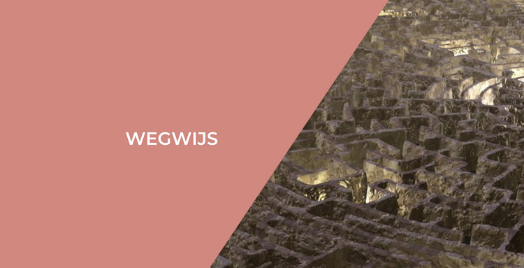 Wegwijs