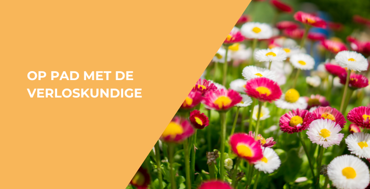 Op pad met de verloskundige