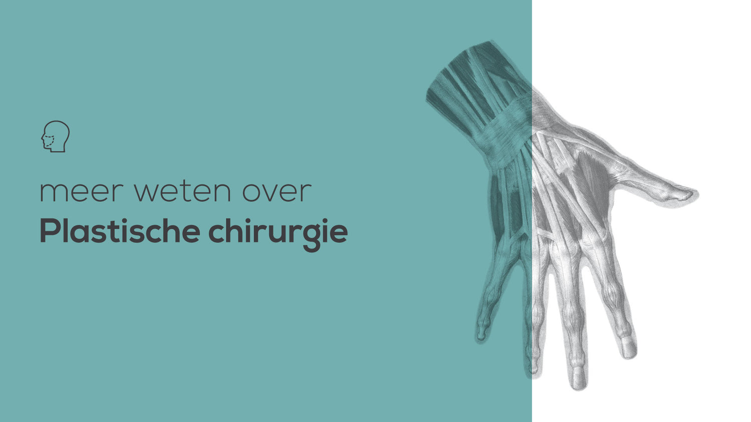 alles over plastische chirurgie Compendium Geneeskunde