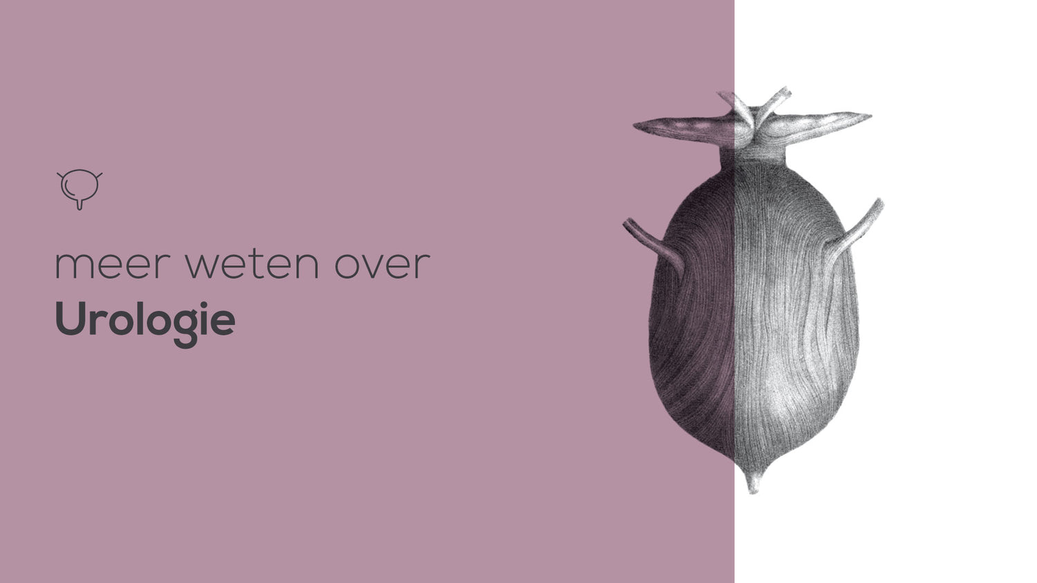 alles over urologie Compendium Geneeskunde