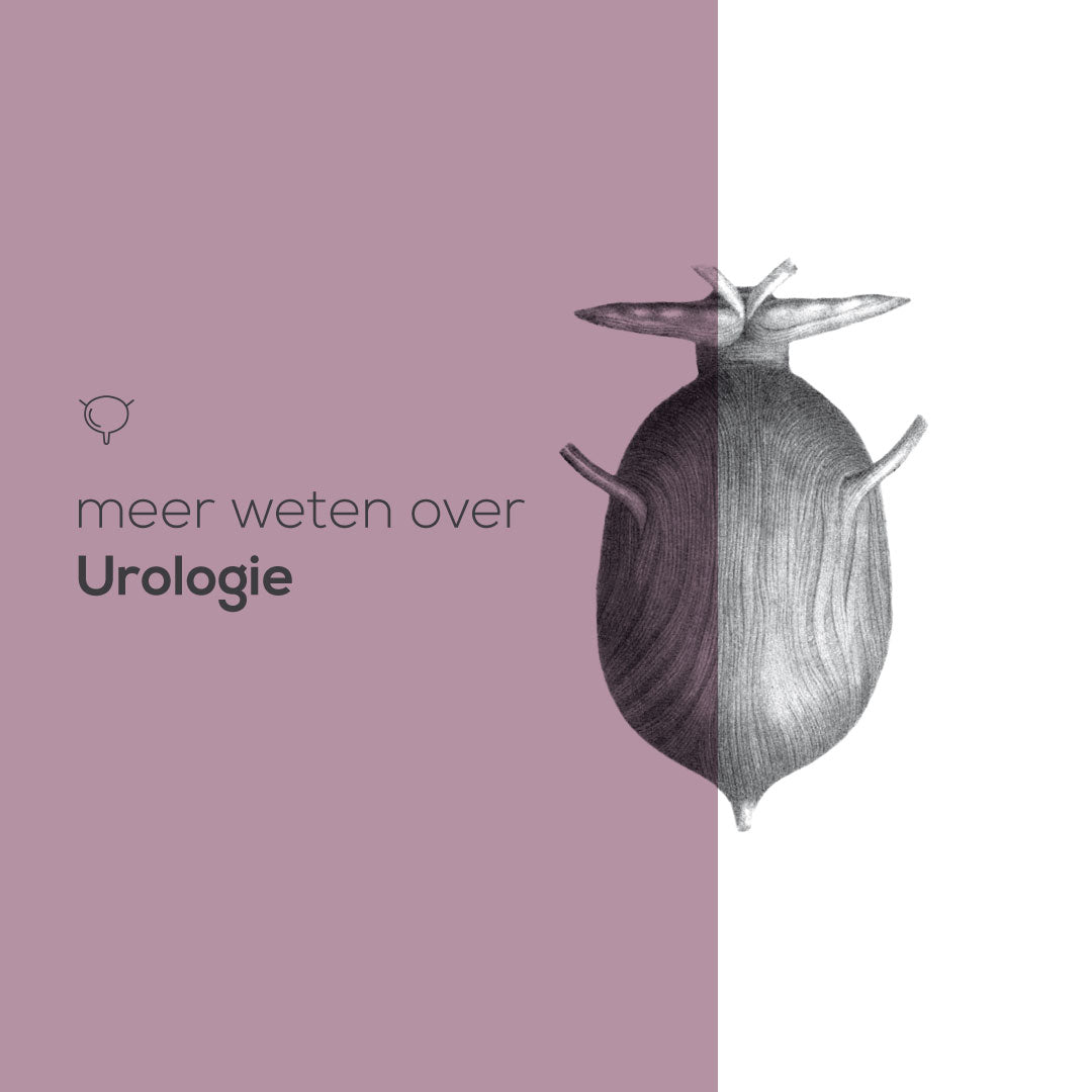 alles over urologie Compendium Geneeskunde