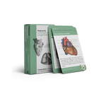 3 of meer flashcards