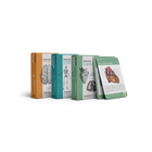 Vijfdelige reeks, alle 18 pockets & 3 flashcards