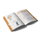 Pocket Neurologie (2024)