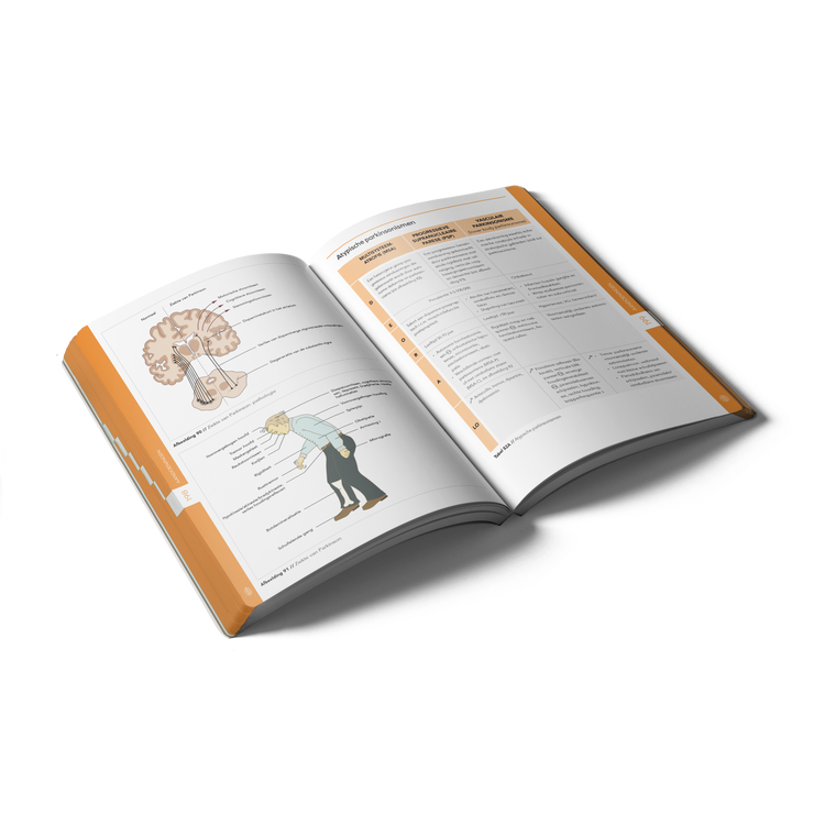 Pocket Neurologie (2024)