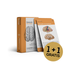 Flashcards Neurologie
