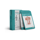 3 of meer flashcards