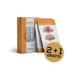 Flashcards Neurologie