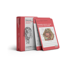 3 of meer flashcards