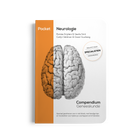 Pocket Neurologie (2024)