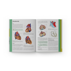 Compendium 2.0+ & Halfjaar abonnement