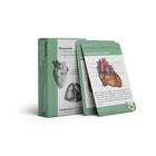 Flashcards Cardiologie en Longgeneeskunde