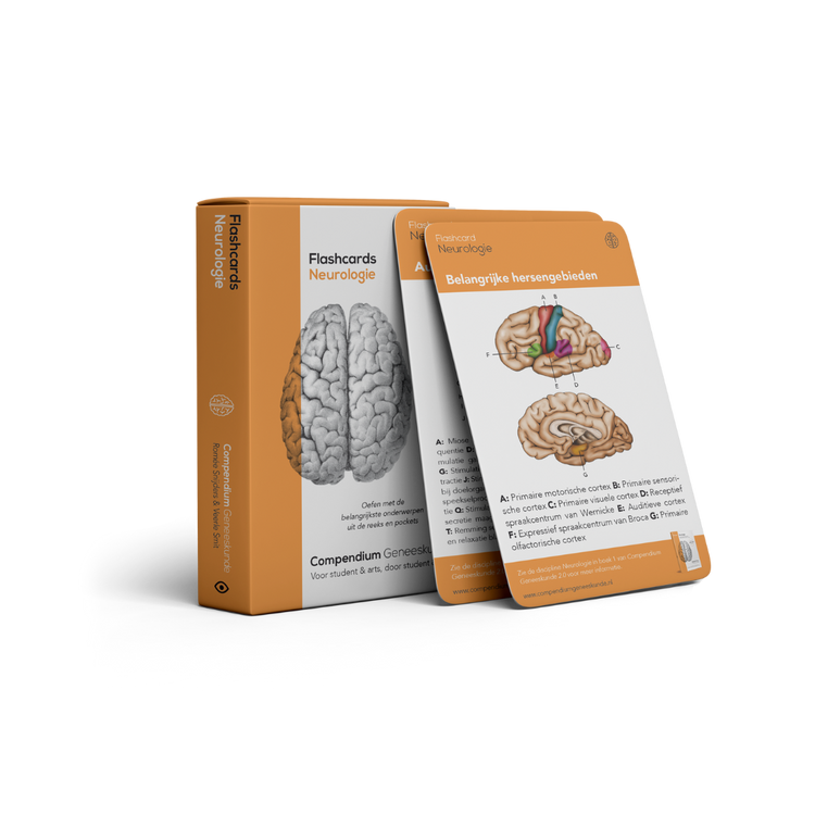 Flashcards Neurologie