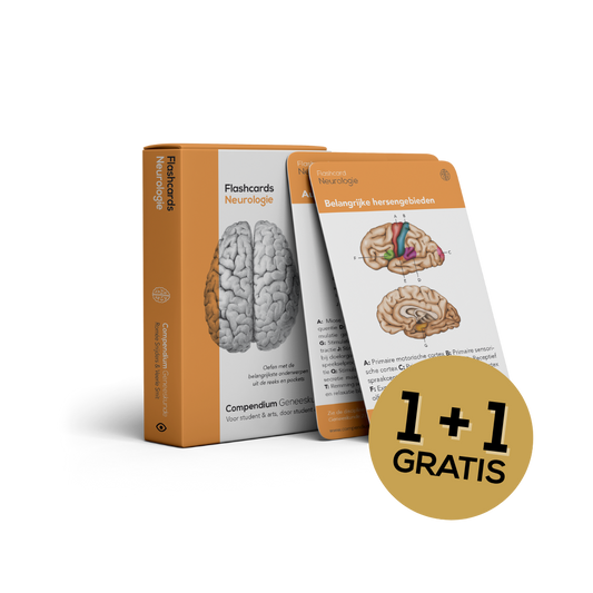 Flashcards Neurologie