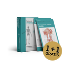 Flashcards Traumachirurgie & Orthopedie