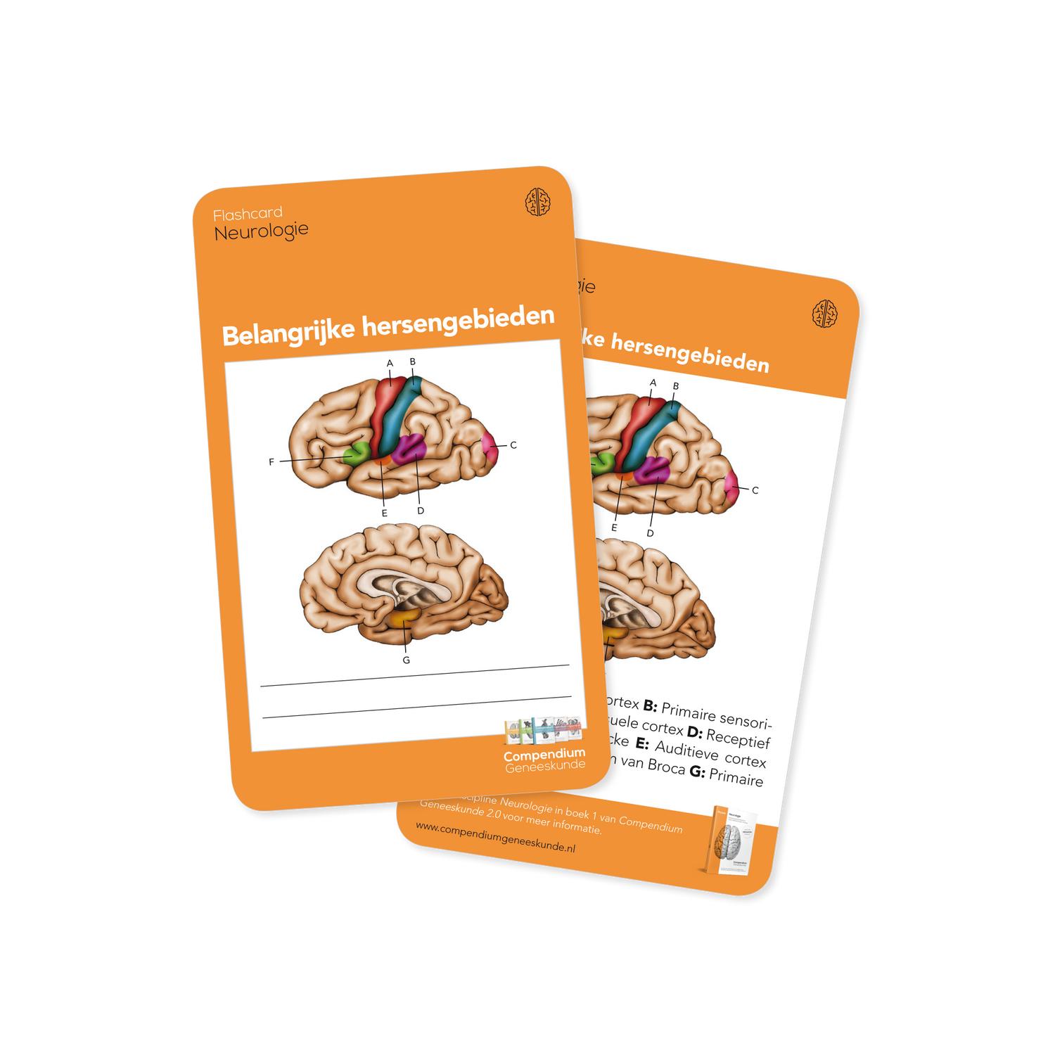 Neurologie flashcards oefenkaartjes VGT Compendium geneeskunde