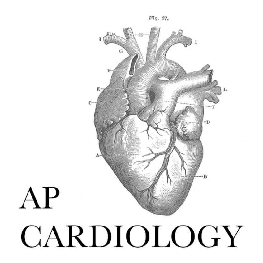 podcast cardiologie Compendium Geneeskunde