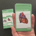 Flashcards Cardiologie en Longgeneeskunde